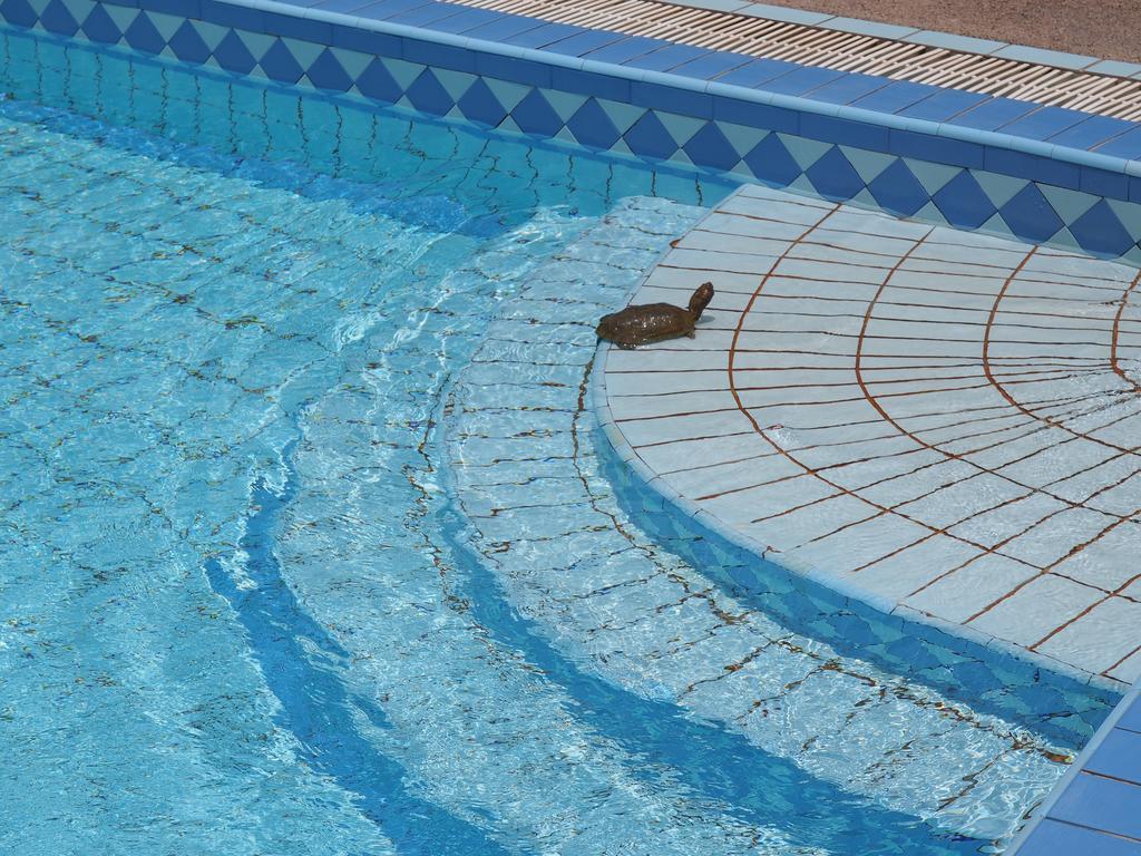 Riad Zahra Essaouira Exteriör bild